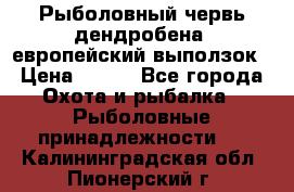 Рыболовный червь дендробена (европейский выползок › Цена ­ 125 - Все города Охота и рыбалка » Рыболовные принадлежности   . Калининградская обл.,Пионерский г.